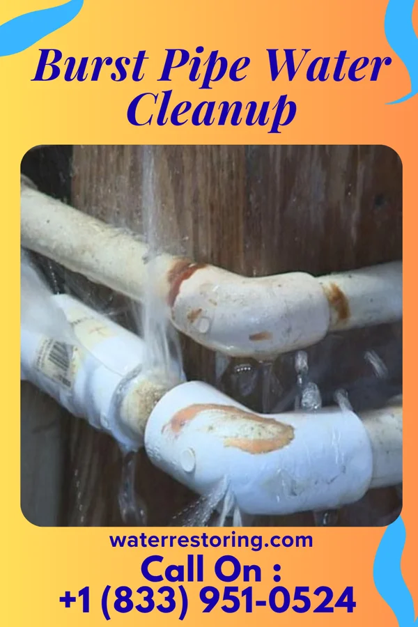 Burst Pipe Water Cleanup in Wakeman, OH