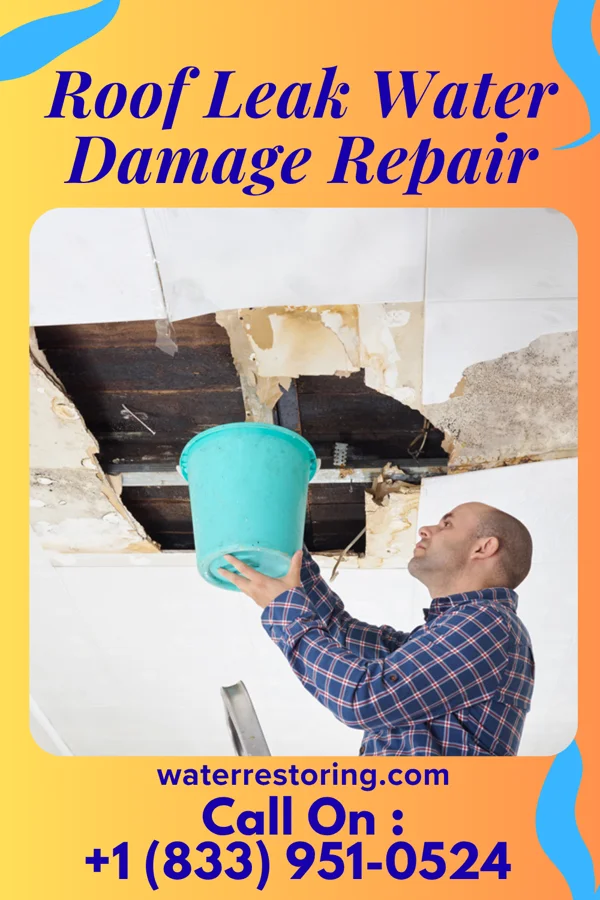 Roof Leak Water Damage Repair in Wakeman, OH