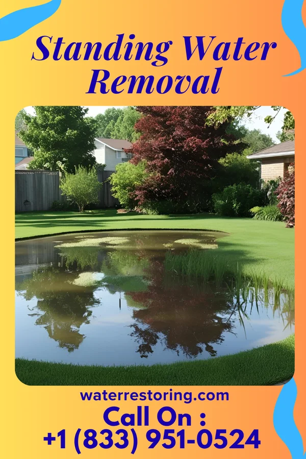 Standing Water Removal in Wakeman, OH